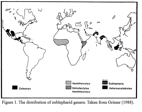 eublepharid range map