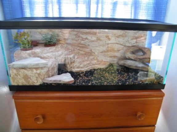 DIY: Naturalistic Foam Fake Rock Enclosure - Gecko Time