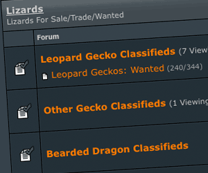 GeckoForums.net Classifieds