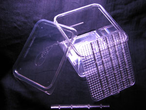 SIM Incubation Container