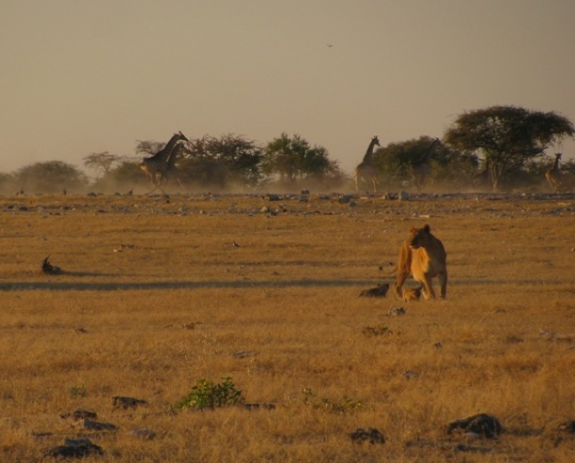 Namibia