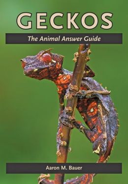 Geckos Book Review