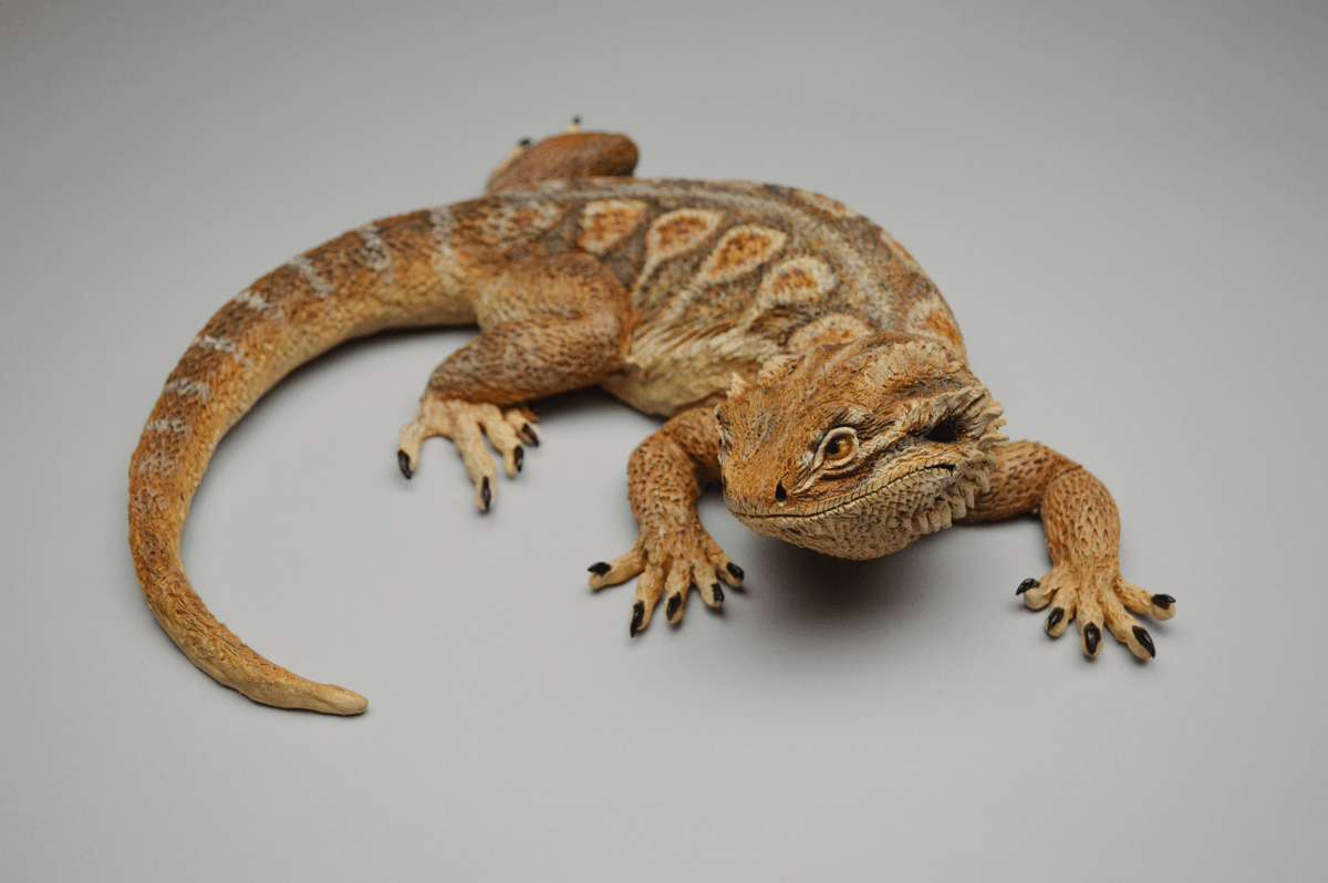 200g 7oz Digital Scale Reptile Lizard Crested Gecko Snake Bearded Dragon Frog