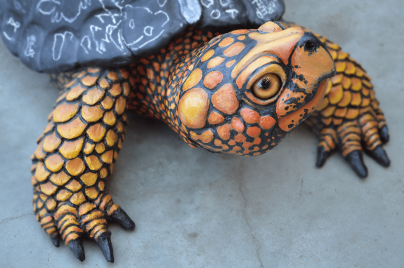box turtle sculpture