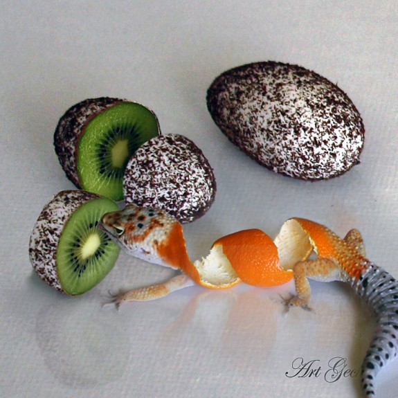 True Tangerine leopard gecko with eggs