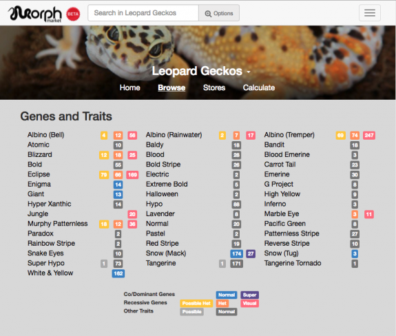 MorphMarket Index of Leopard Gecko Traits