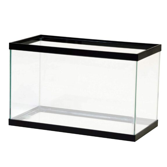 Reptile tank 2024 10 gallon